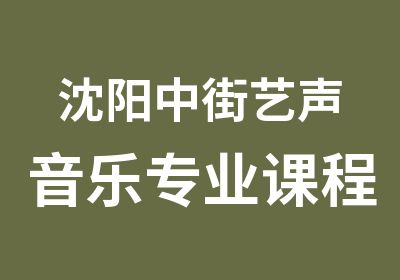 沈阳中街艺声音乐专业课程培训