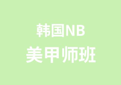 韩国NB美甲师班