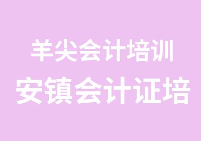 羊尖会计培训安镇会计证培训廊下会计班