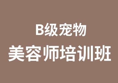 B级宠物美容师培训班