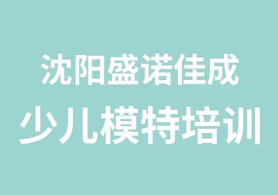 沈阳盛诺佳成少儿模特培训寒假班