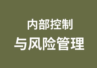 内部控制与风险管理