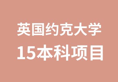 英国约克大学15本科项目