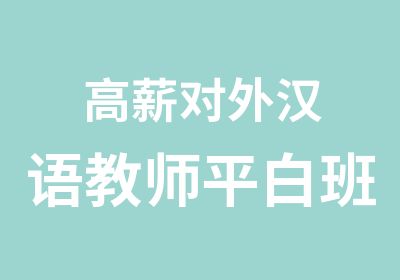 高薪对外汉语教师平白班