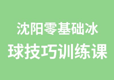 沈阳零基础冰球技巧训练课