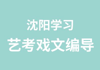 沈阳学习艺考戏文编导