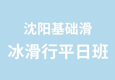 沈阳基础滑冰滑行平日班