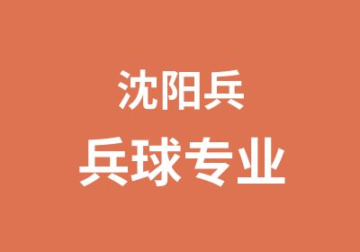 沈阳兵兵球专业