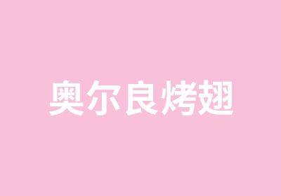 奥尔良烤翅