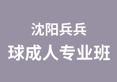 沈阳兵兵球成人专业班