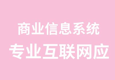 商业信息系统专业互联网应用系统专业2