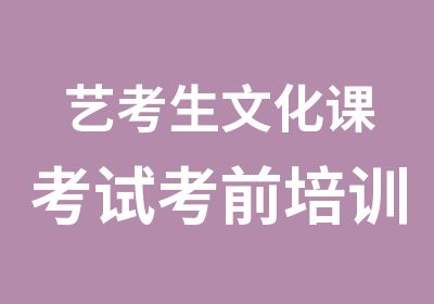 艺考生文化课考试考前培训