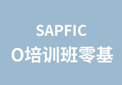 SAPFICO培训班零基础班