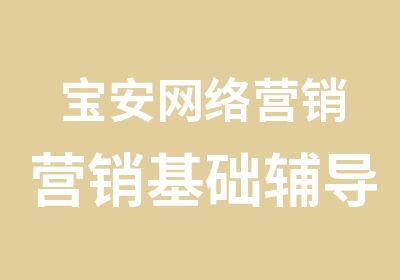 宝安网络营销营销基础辅导班