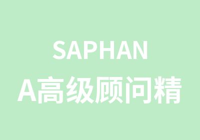 SAPHANA顾问