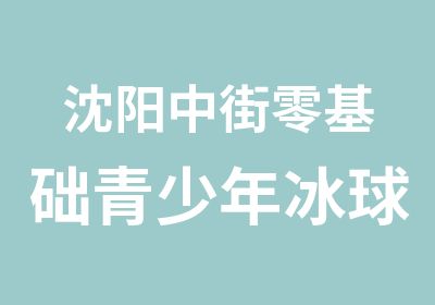 沈阳中街零基础青少年冰球训练