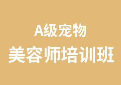 A级宠物美容师培训班