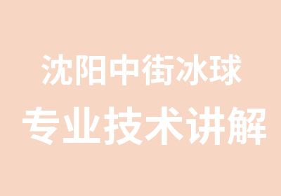 沈阳中街冰球专业技术讲解培训