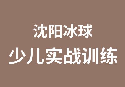 沈阳冰球少儿实战训练