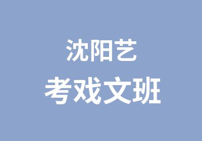 沈阳艺考戏文班