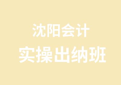 沈阳会计实操出纳班