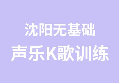 沈阳无基础声乐K歌训练