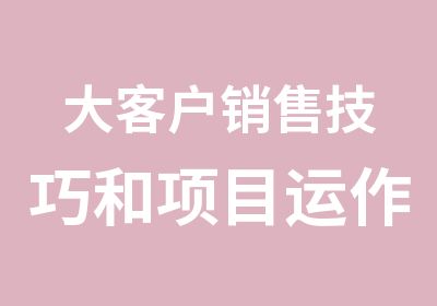 大客户销售技巧和项目运作实务