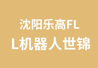 沈阳乐高FLL机器人世锦赛