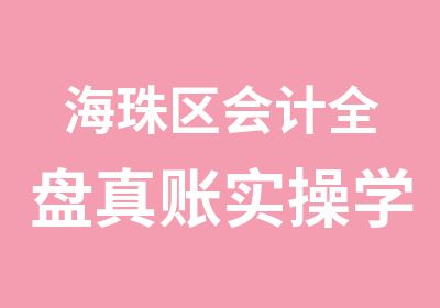 海珠区会计全盘真账实操学习那里好