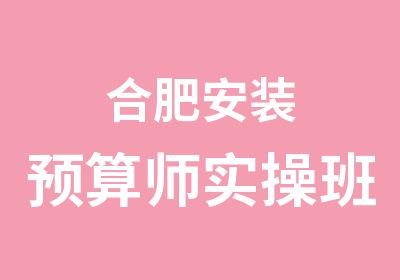 合肥安装预算师实操班