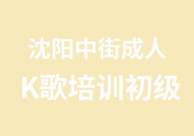 沈阳中街成人K歌培训初级普教班