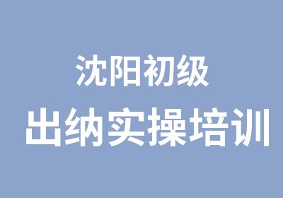 沈阳初级出纳实操培训