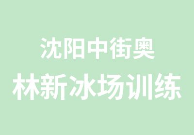 沈阳中街奥林新冰场训练