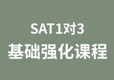 SAT1对3基础强化课程