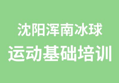 沈阳浑南冰球运动基础培训