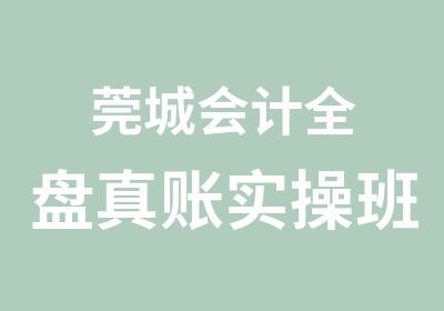 莞城会计全盘真账实操班