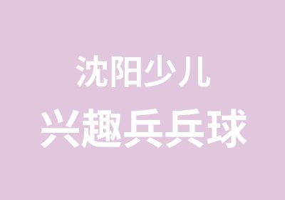 沈阳少儿兴趣兵兵球