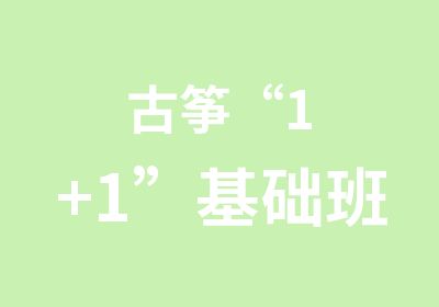 古筝“1+1”基础班