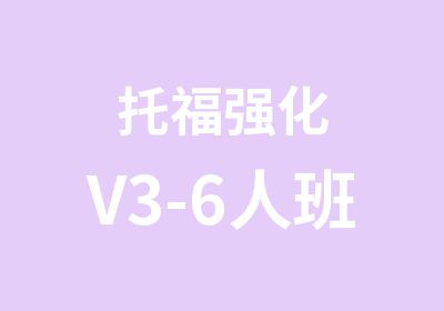 托福强化V3-6人班