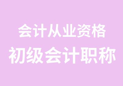 会计从业资格初级会计职称真账演练培训