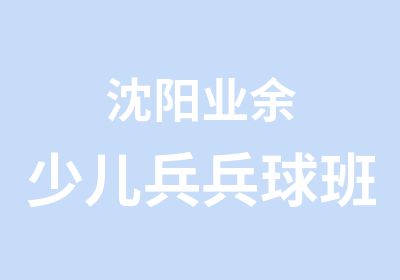 沈阳业余少儿兵兵球班