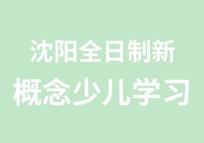 沈阳新概念少儿学习班