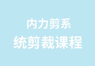 内力剪系统剪裁课程