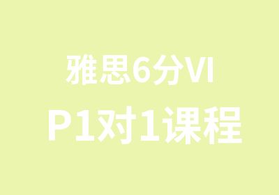 雅思6分VIP1对1课程