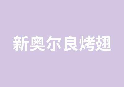 新奥尔良烤翅