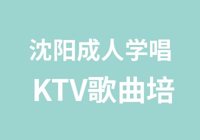 沈阳成人学唱KTV歌曲培训