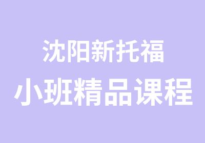 沈阳新托福小班精品课程