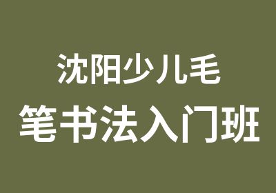 沈阳少儿毛笔书法入门班