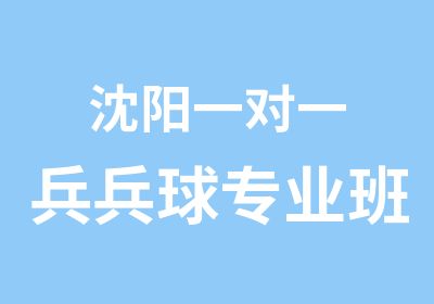 沈阳兵兵球专业班