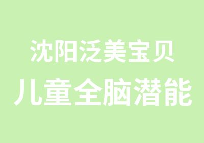 沈阳泛美宝贝儿童全脑潜能开发训练营